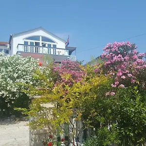 Oleander In Apartment